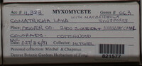 Image Associated With the Occurence